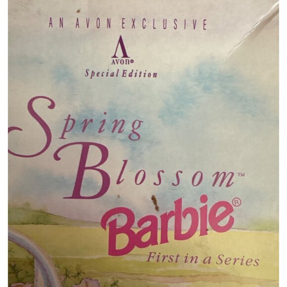 Spring Blossom Barbie Doll Special Edition Avon Exclusive 1995 Mattel - Picture 15 of 15